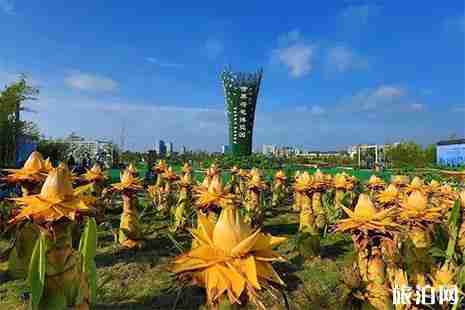 2019遂寧觀音湖荷花節7月2日開啟