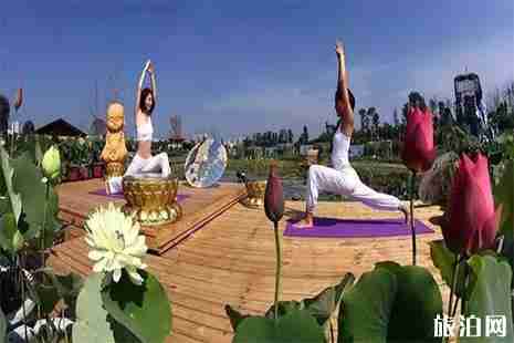 遂寧觀賞荷花的地方