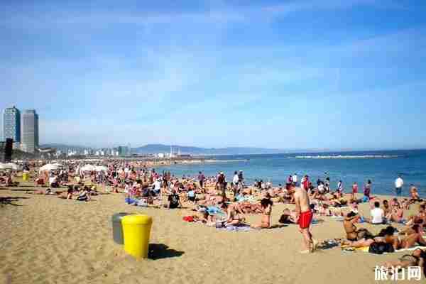 2019哈爾濱荷花幾月開+觀賞攻略