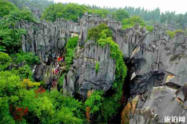 2019高考準考證石林風景區免票游玩信息