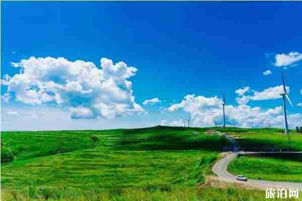 夏季草原旅游攻略推薦