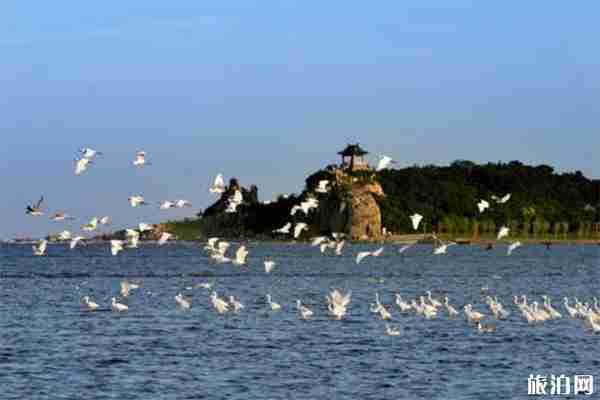 2019中高考準考證秦皇島景區優惠信息匯總