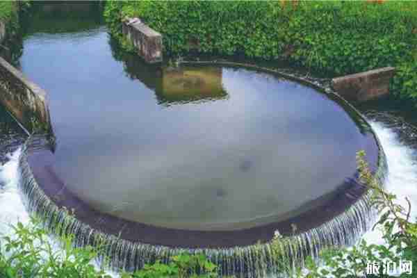 日本螢火蟲觀看時節 日本九州螢火蟲觀看地點推薦