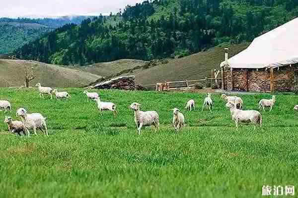 麗江夏季去旅游合適嗎