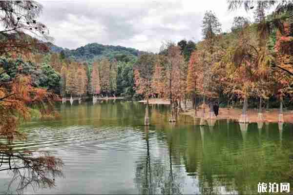 广州白云山风景区 五元门票畅游一天