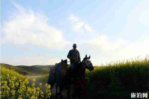 2019伊犁天马国际旅游节活动攻略