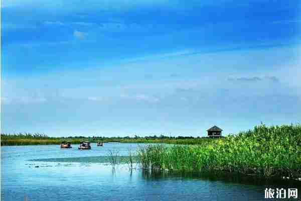 2019年六月去哪观鸟合适