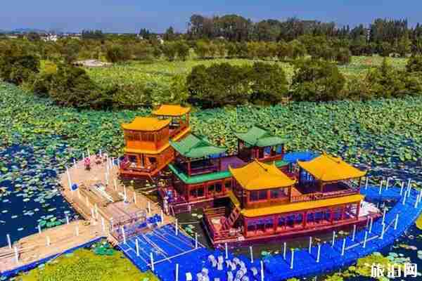 2019陶辛水韵荷花节哪天+门票+交通+活动介绍
