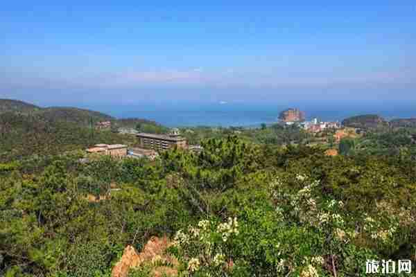 棒棰岛海滨浴场怎么收费的 水质怎么样