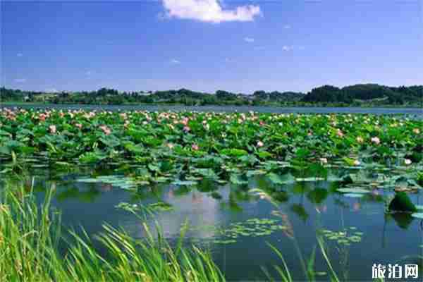 夏季十大旅游热门景点