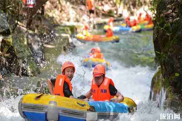 2019广州番禺莲花文化旅游节指南 参观+活动