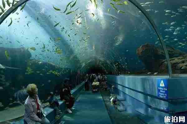 威海周边的海洋世界 威海周边的海洋馆有哪些