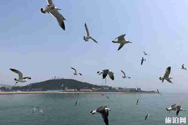 2019年暑假山东长岛旅游攻略