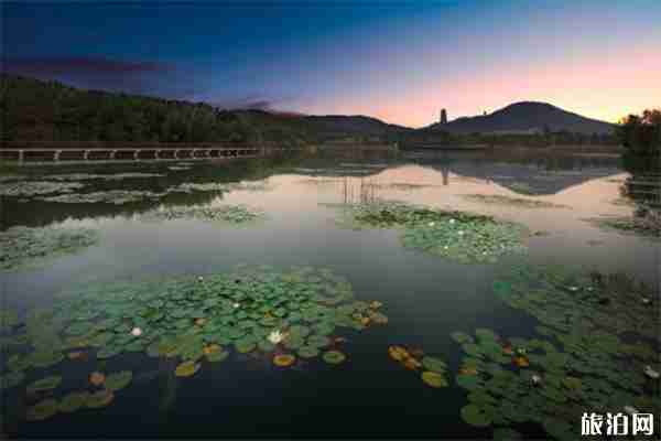 牛首山免费开放日预约指南