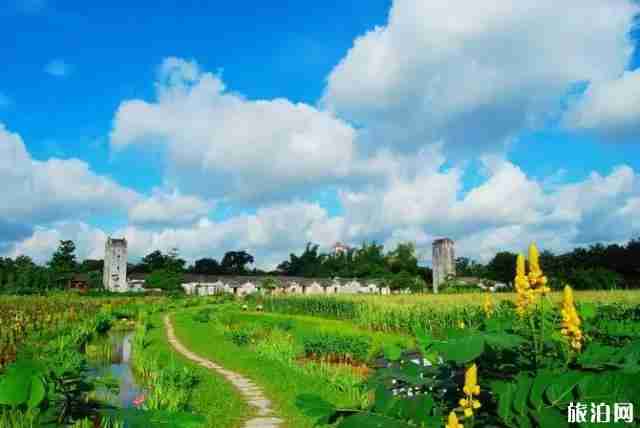 深圳周边适合拍照的地方+交通