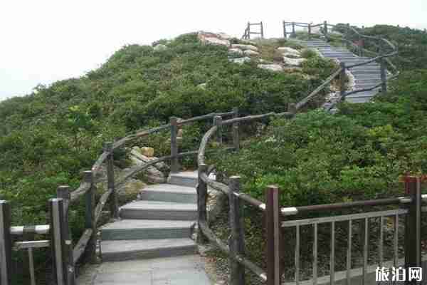 深圳冷门又好玩的地方推荐 深圳免费值得去的景点