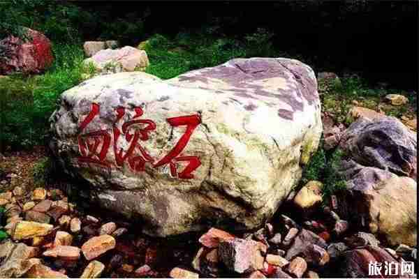 2019九峰山景区活动 吃西瓜+玩泡泡+看展览