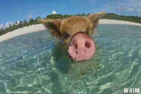 国外小众海岛推荐