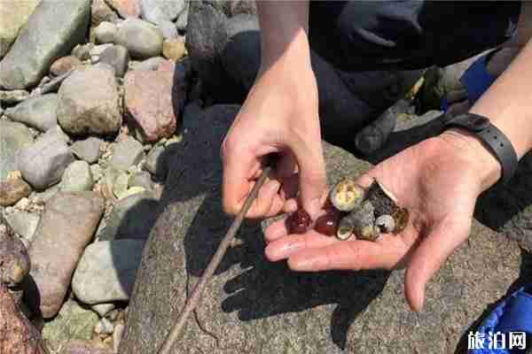 福建平潭赶海攻略