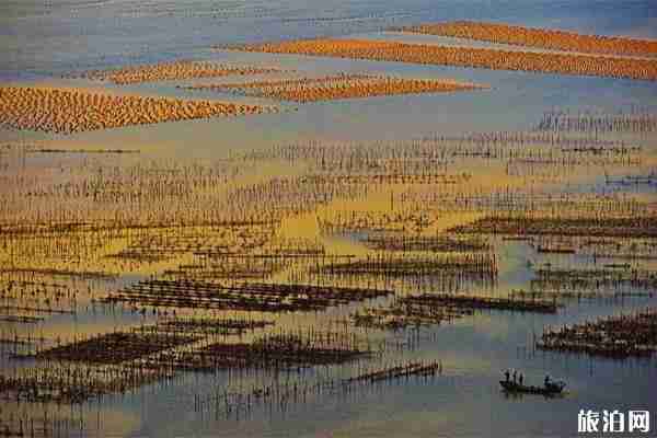 宁德霞浦滩涂摄影攻略 地点+交通