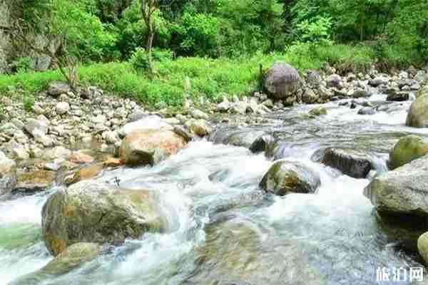 汉中文川古道暑假活动信息 钓鱼+露营+赏花