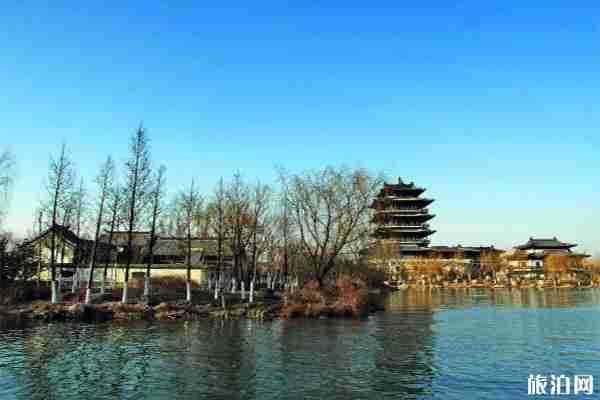 2019暑假济南精彩活动汇总 节庆+露营+活动