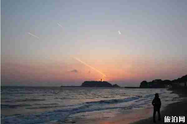 2019日本夏季有什么活動