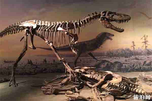 2019辽宁古生物博物馆暑假开馆时间最新调整