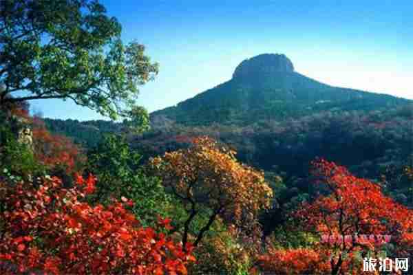 抱犊崮熊耳山当地半价优惠游玩 抱犊崮熊耳山有什么好玩的