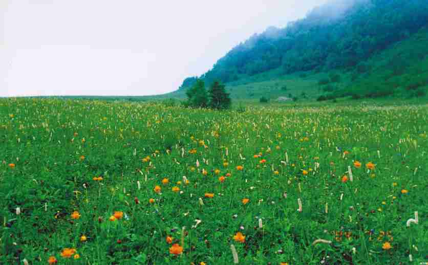 2019北京百花山风景区门票价格+住宿推荐