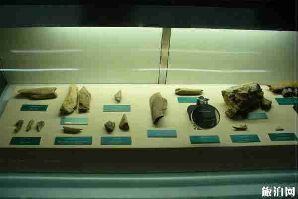 北京王府井古人类文化遗址博物馆门票+开放时间+简介