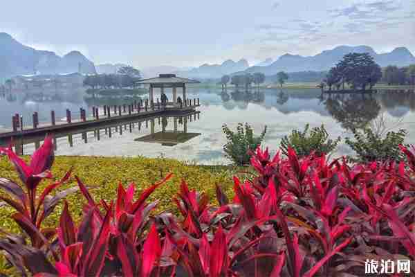 南寧花花大世界門票多少錢