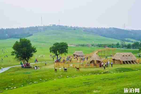 三寰牧場怎么樣 怎么走+有什么好玩的