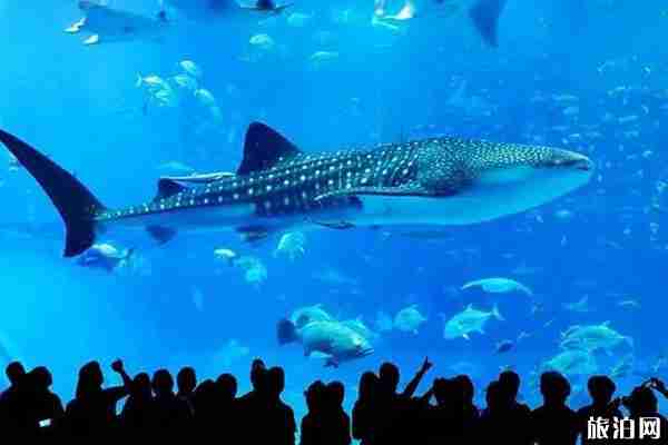 日本大阪哪里比較適合情侶旅游 日本分手禁地有哪些