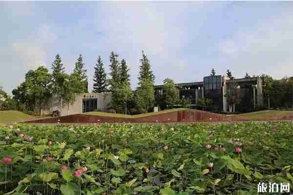 2019靖江生祠東進(jìn)荷花節(jié)地點(diǎn)+活動(dòng)內(nèi)容