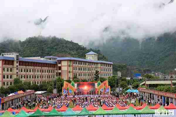 2019天峨縣龍灘珍珠李節7月20日開啟