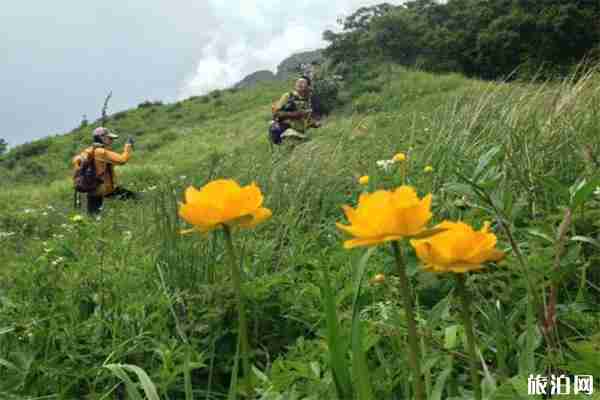 武汉黄陂云雾山露营地帐篷费用+烧烤费用