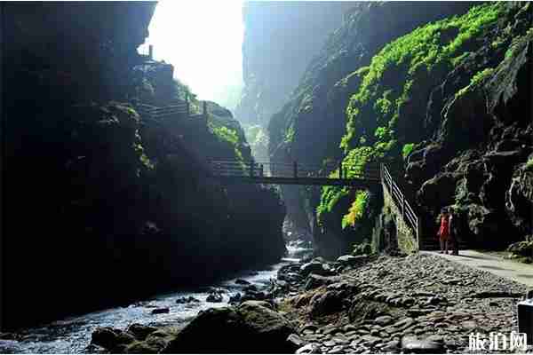 師宗鳳凰谷景區好玩嗎 附暑假優惠