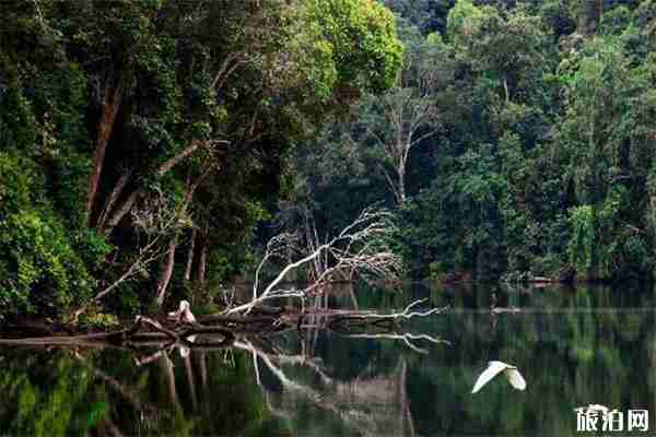 普洱暑假景区优惠信息汇总2019