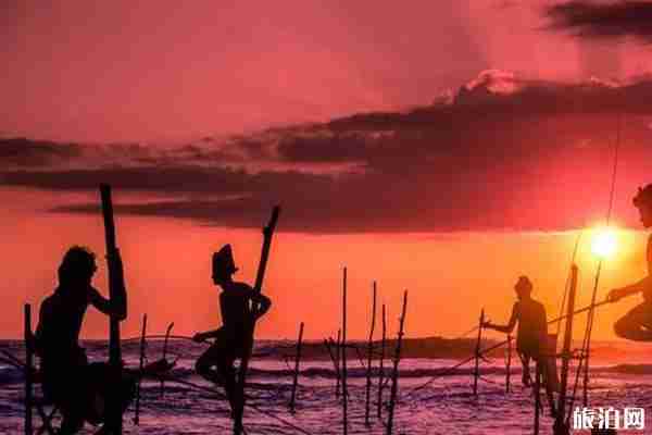 斯里蘭卡旅游攻略2019