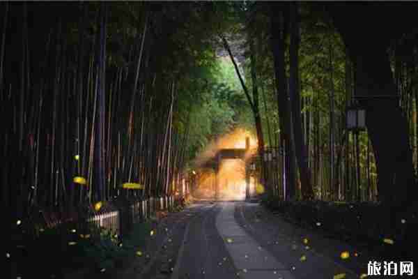 螢火蟲觀賞地點有哪些