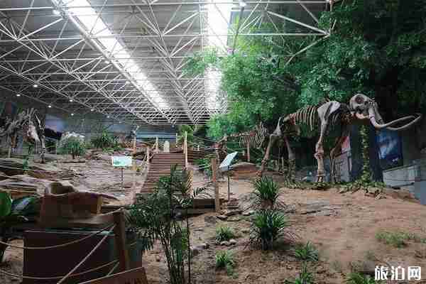 中國第四紀(jì)冰川遺跡陳列館概況+地址+交通