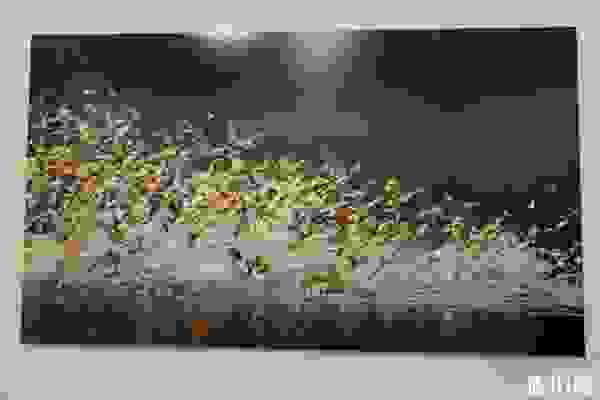 中國國家畫院美術館電話+官網+停車信息