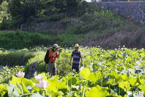 杭州避暑勝地有哪些