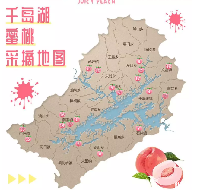 2019千岛湖采摘地推荐+最佳采摘时间