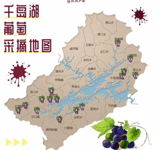 2019千岛湖采摘地推荐最佳采摘时间