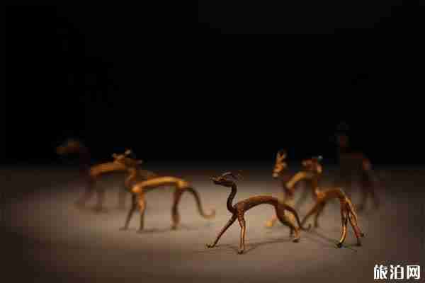 如何在博物馆摄影