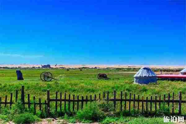 中衛三日游玩攻略 沙坡頭+通湖草原+水洞溝