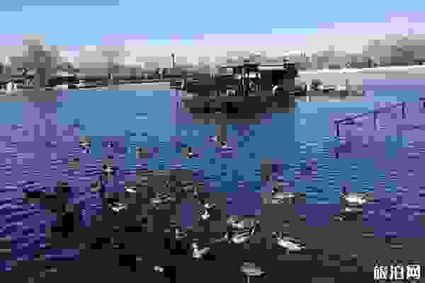 北京什剎海門票多少錢+開放時間