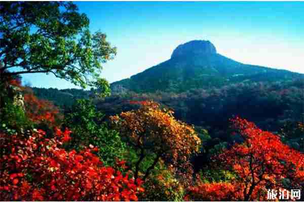 棗莊山亭抱犢崮景區在哪里 附七夕活動攻略